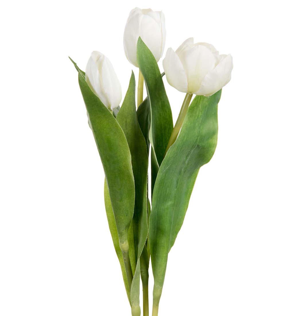 Tulip white mix 36 cm