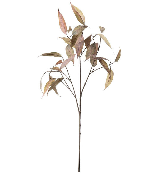 Eucalyptus brun 90 cm