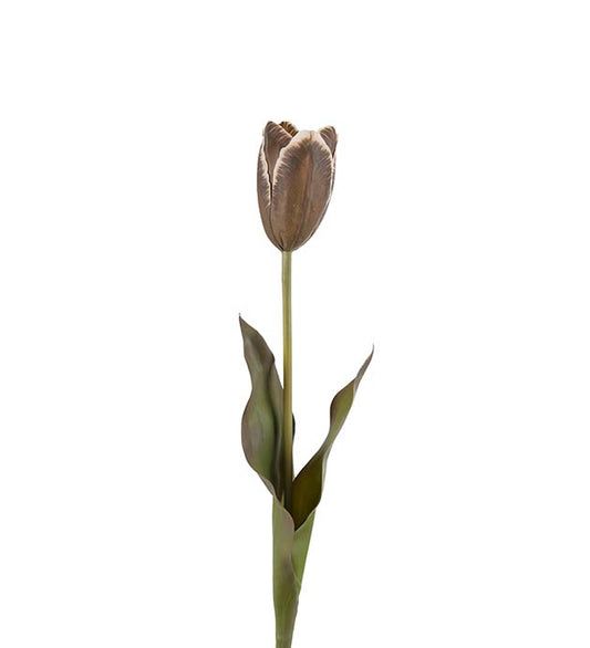 Tulipan 58 cm