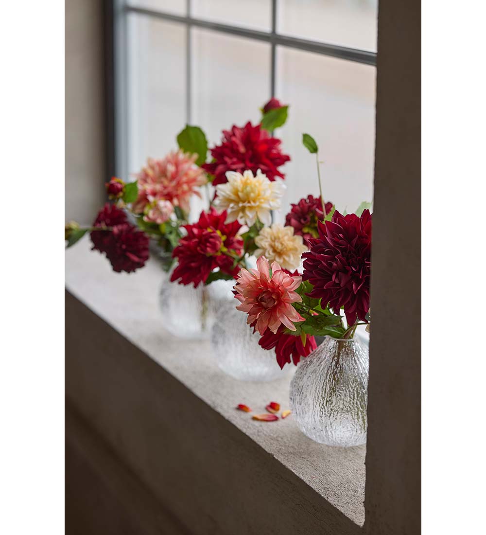 Dahlia lys fersken 45 cm