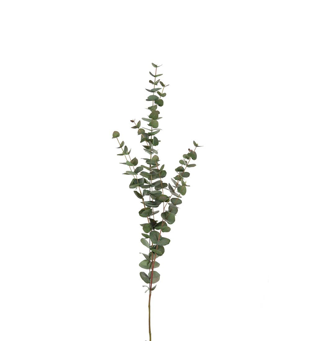 Eucalyptus grønn 120 cm