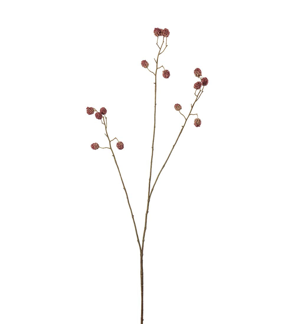 Bærkvist morbærkvist rød 93 cm
