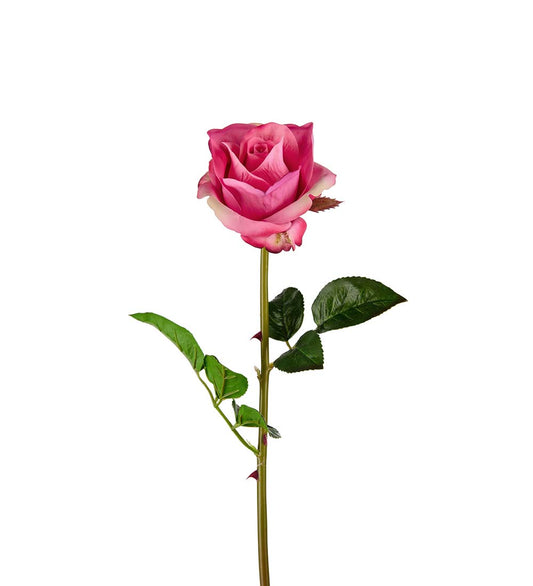 Rose 65 cm