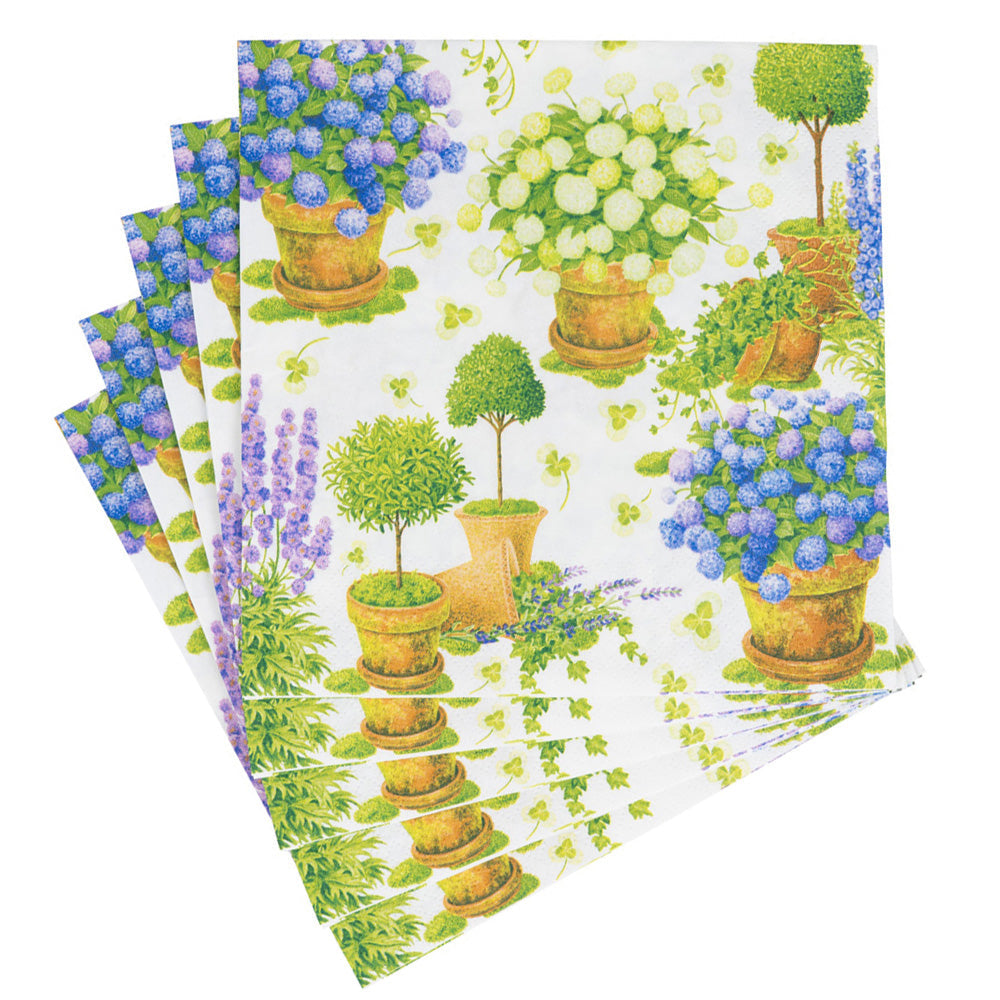 Napkin lunch Potted hydrangeas