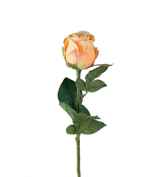 Rose oransje 50 cm