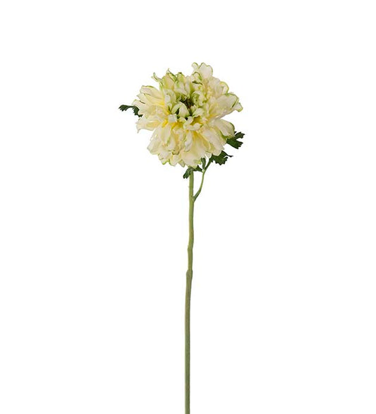 Ranunkel grønn 60 cm