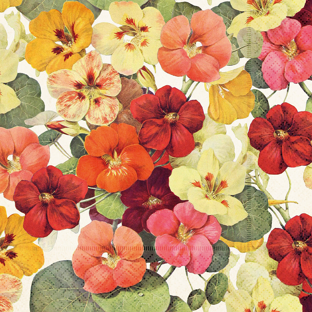 Serviett lunch Summer Bloom