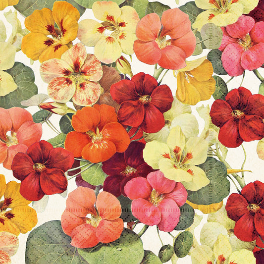 Serviett lunch Summer Bloom