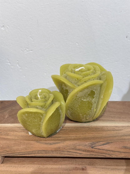 Rose lys lime Ø12x10 cm