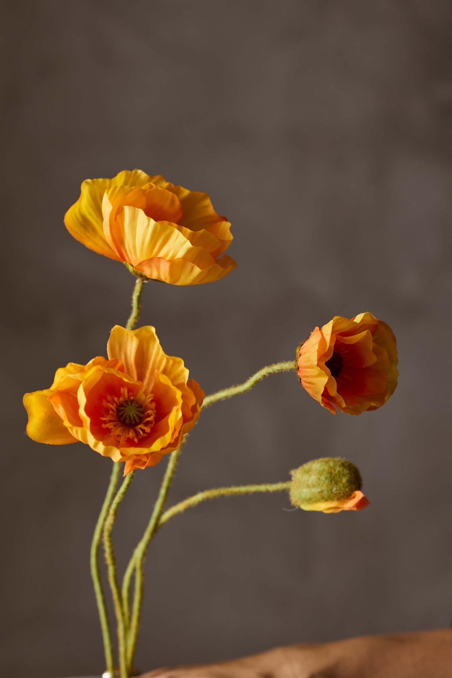 Poppy orange 75 cm