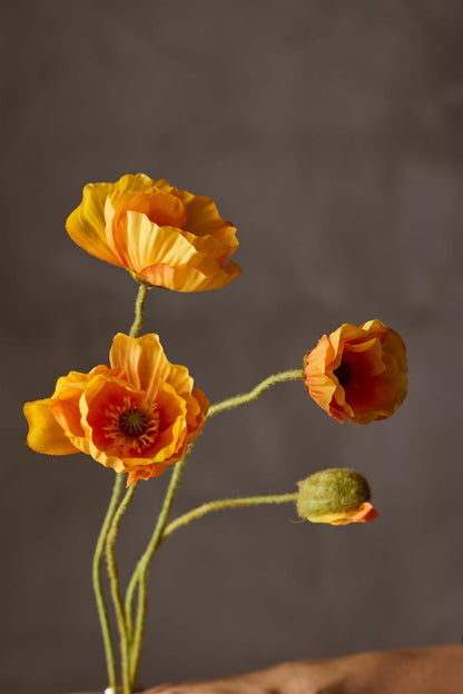 Poppy orange 75 cm