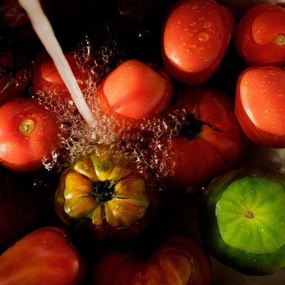 Tomato Trellis Small Jar Candle