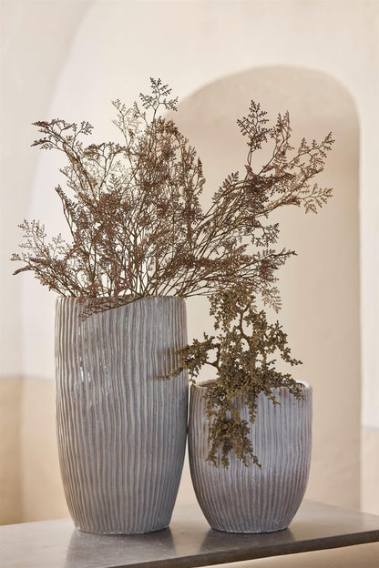 Limoniumkvist 65 cm