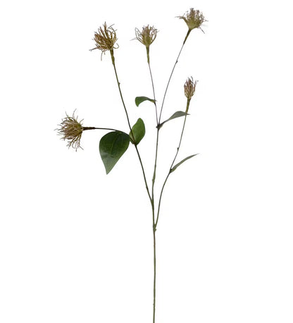 Clematis grønn 69 cm