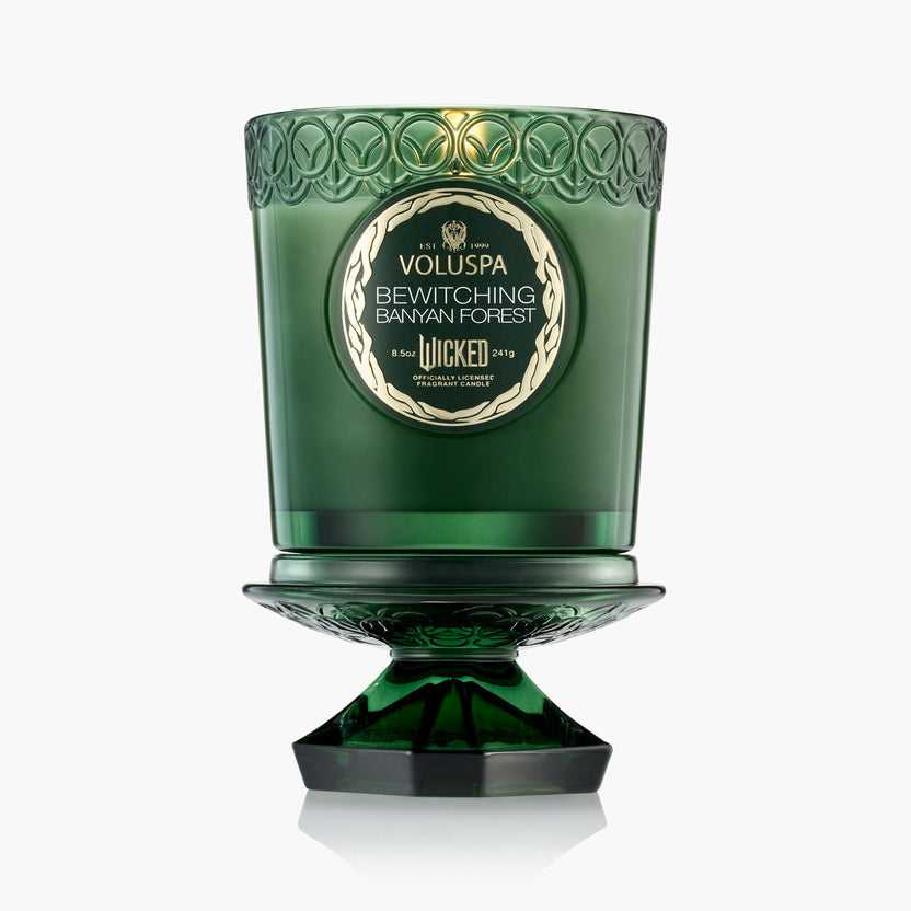 Bewitching Banyan Forest Boxed Candle 60 timer