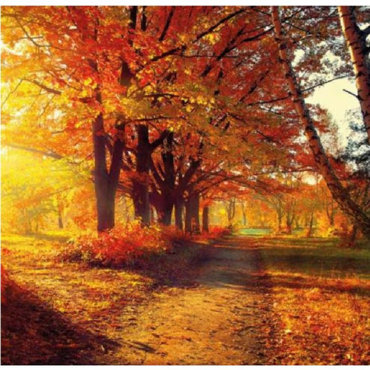 Napkin lunch Autumn park