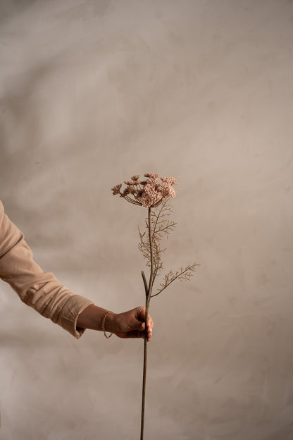 Wild Carrot pink 70 cm