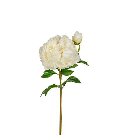 Peony white 65 cm