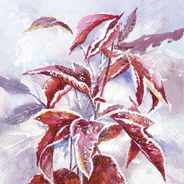 Napkin lunch Frosty Branch