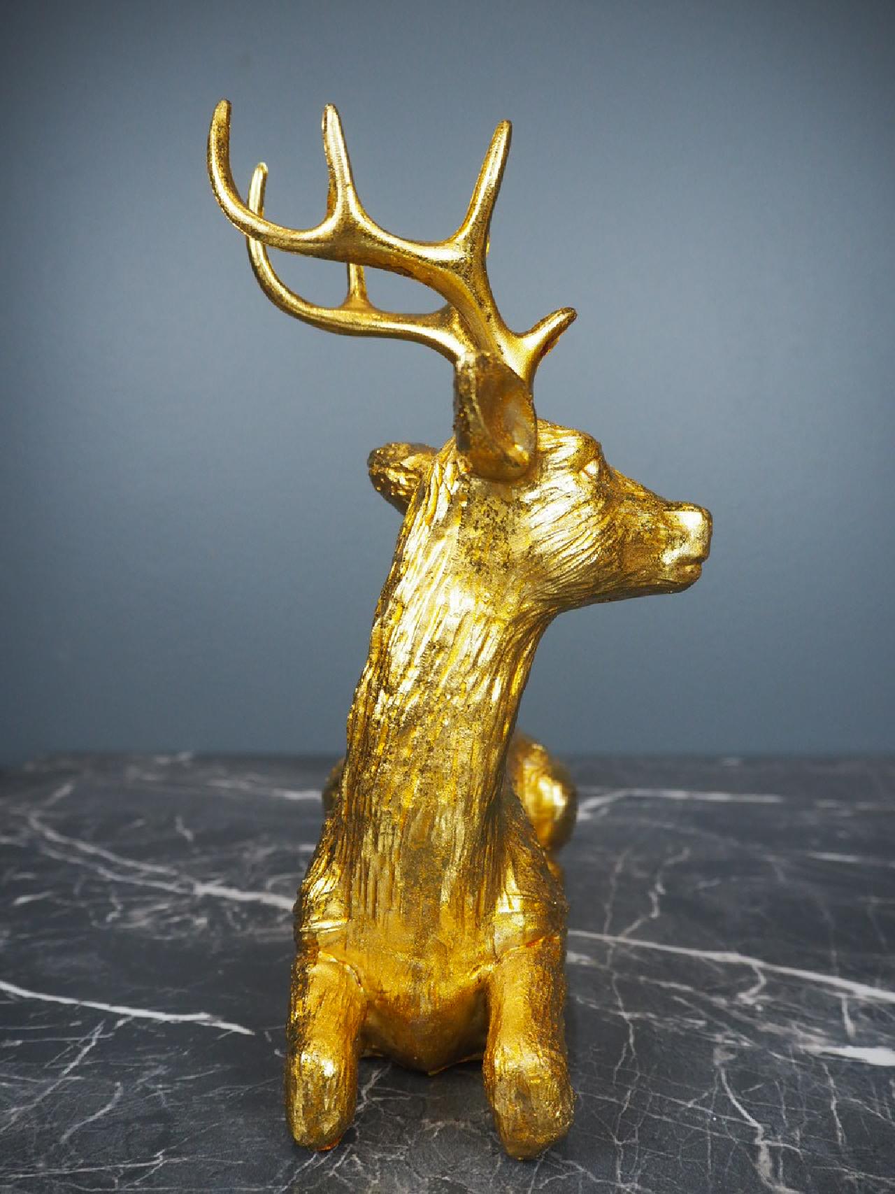 Deer lying