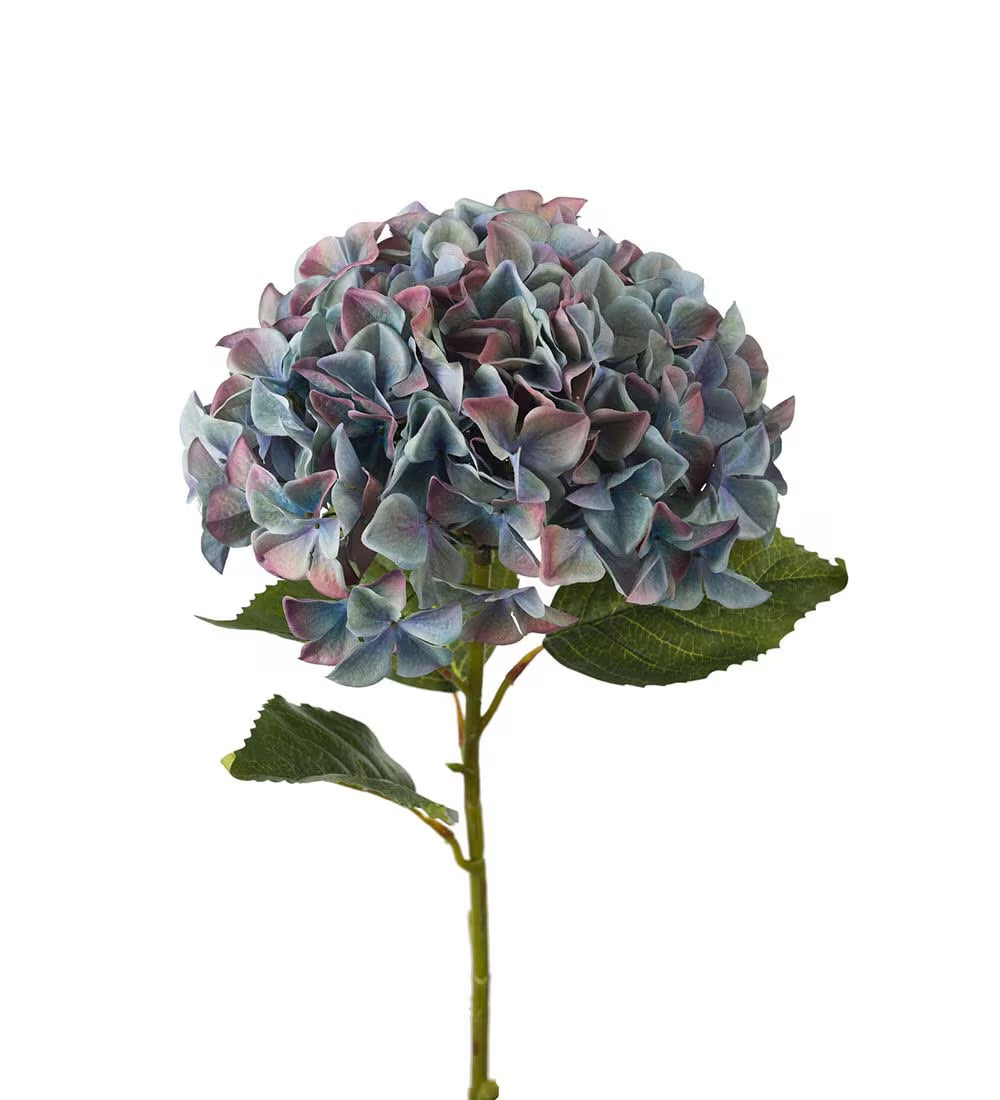 Hortensia blå 110 cm