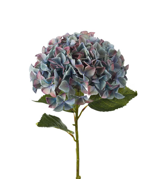 Hortensia blå 110 cm
