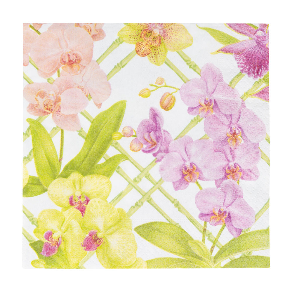 Napkin lunch Orchid conservatory