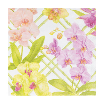 Napkin lunch Orchid conservatory