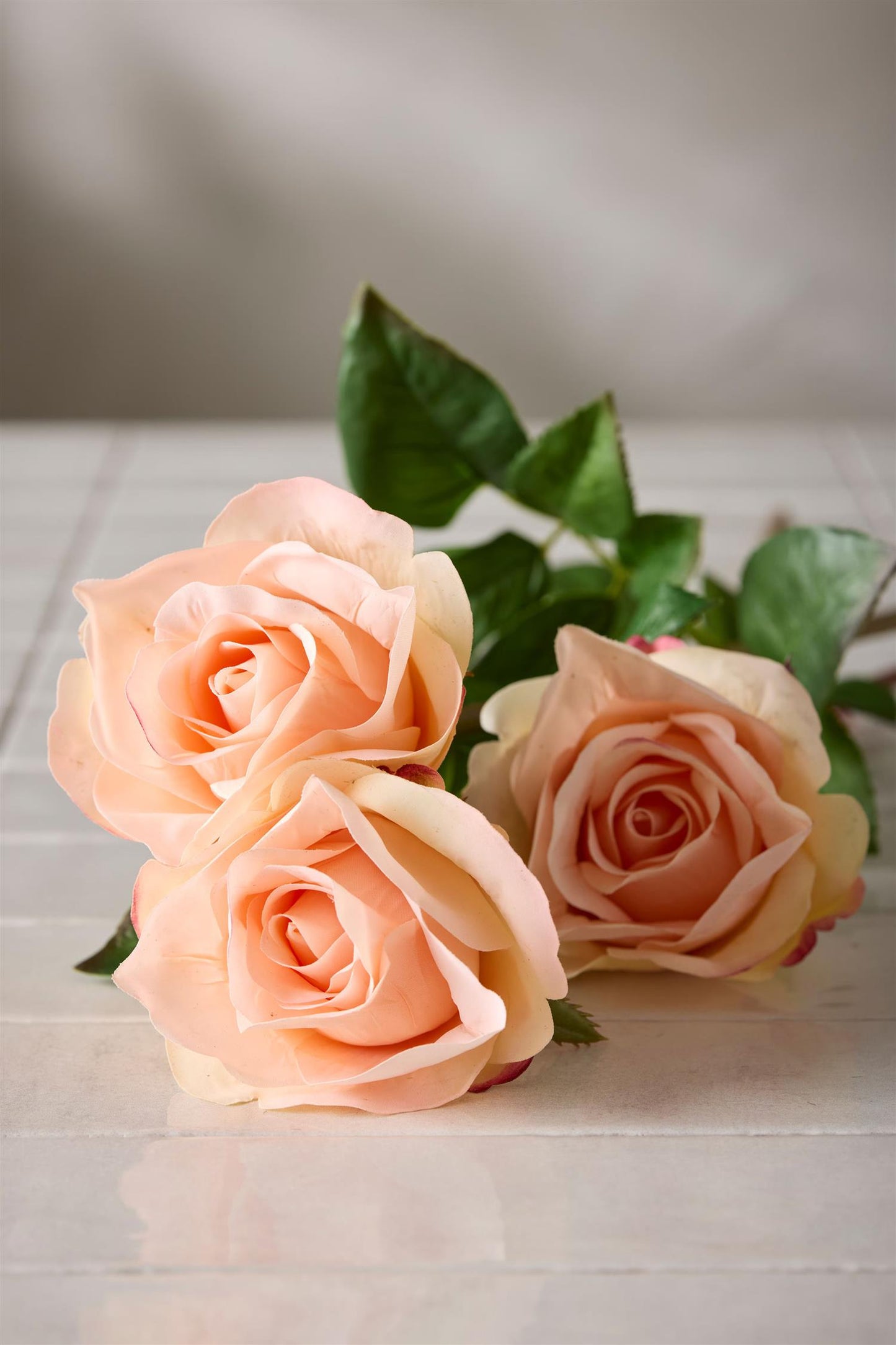 Rose apricot 65 cm