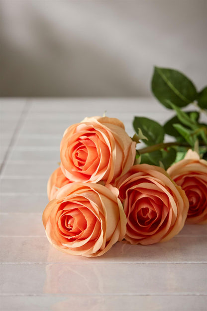 Apricot rose 75 cm