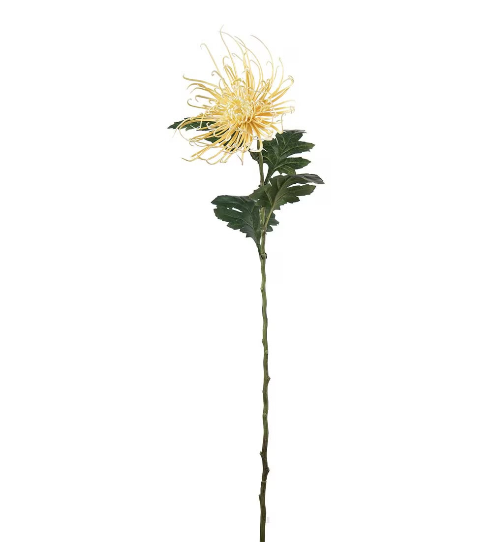 Spindel chrysanthemum gul 70 cm