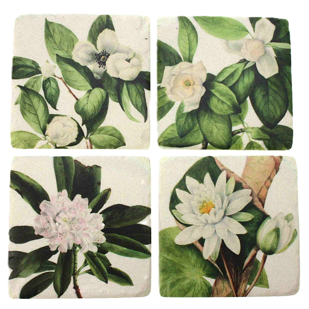 Coaster Water Lilies S/4