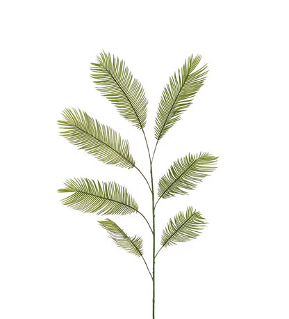 Palmeblad Cycas 150 cm