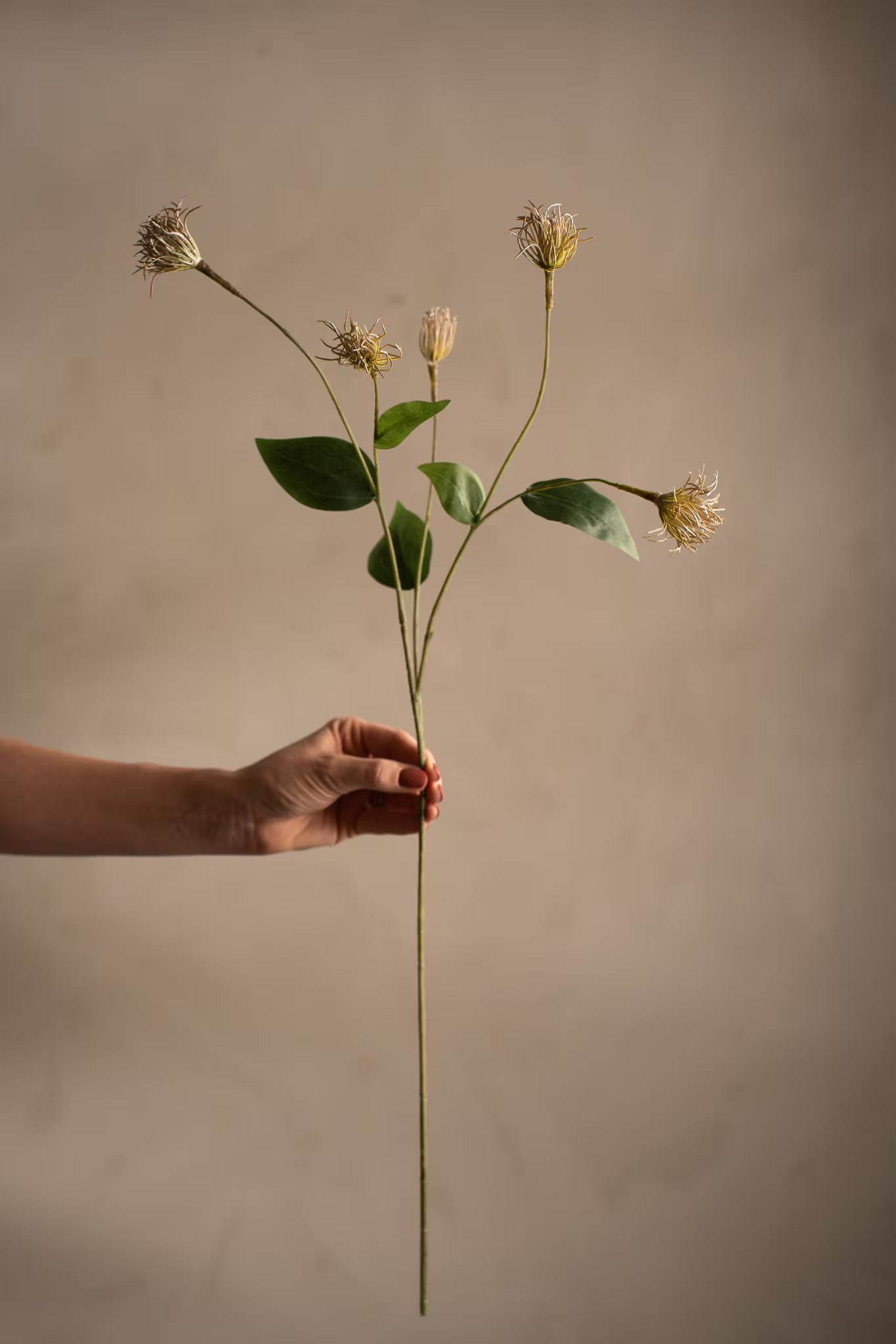Clematis grønn 69 cm