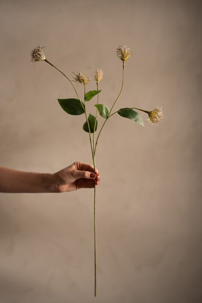 Clematis grønn 69 cm