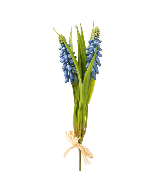 Perlehyasint 20 cm