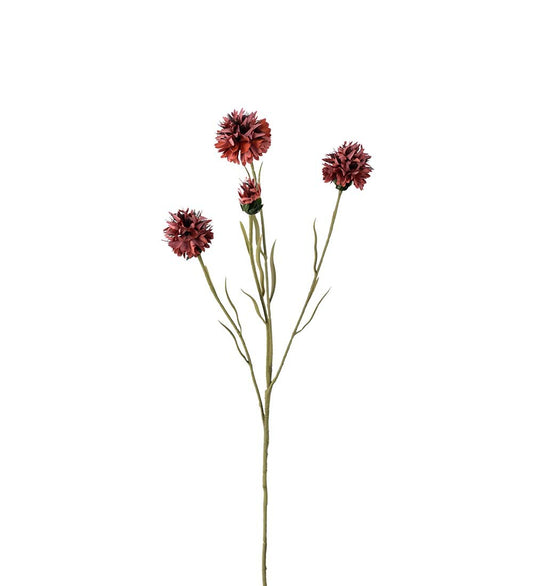 Klint rust 60 cm