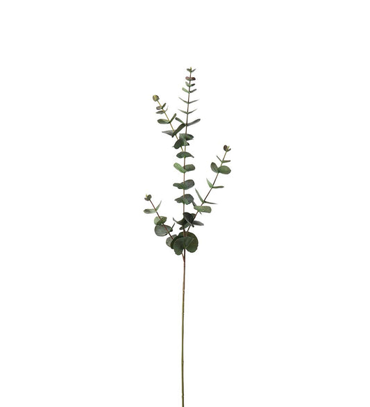 Eucalyptus grå 80 cm