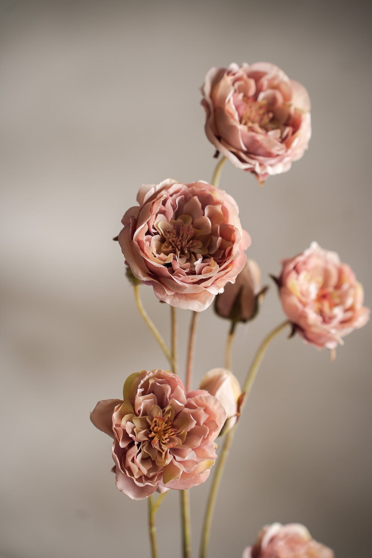 Rose rosa 105 cm