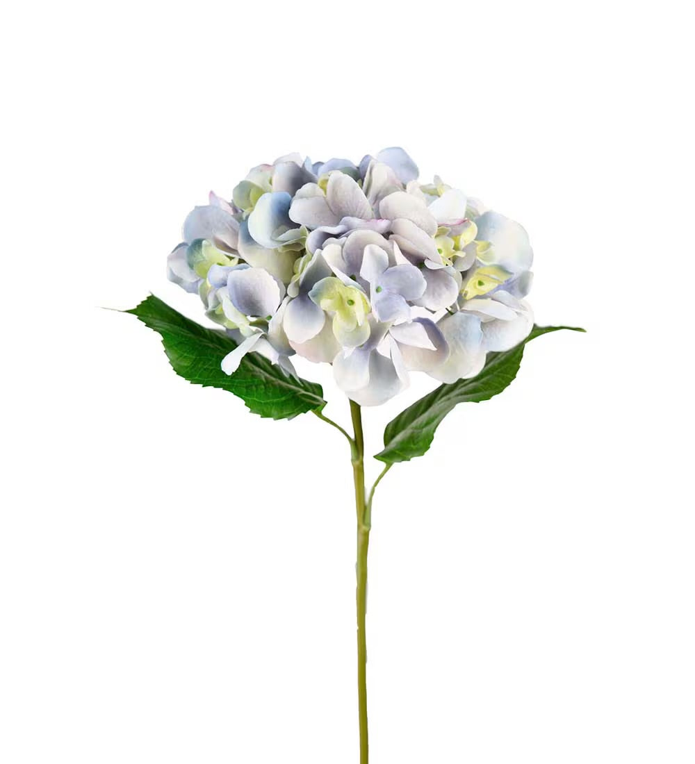 Hydrangea light blue 55 cm