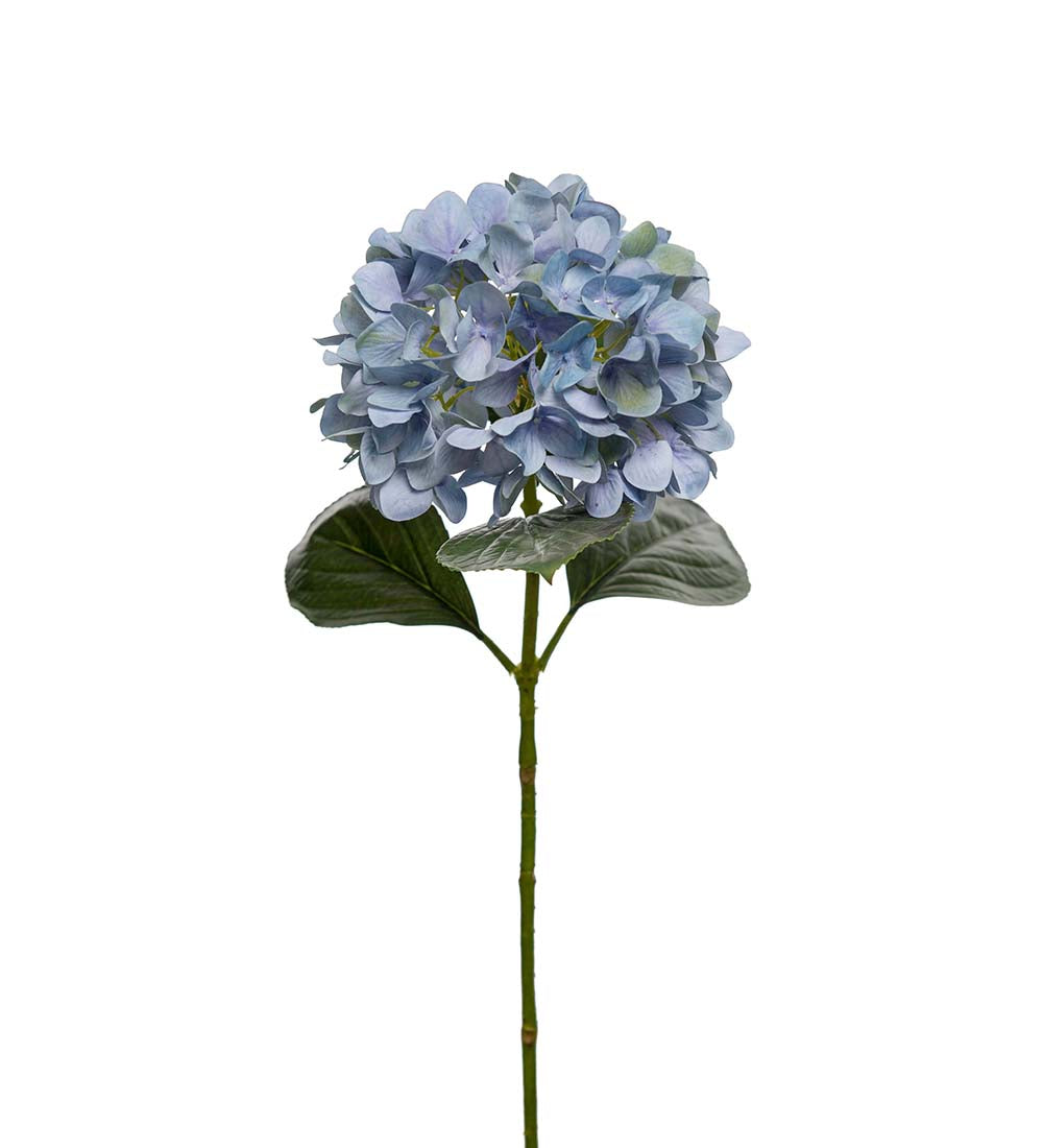 Hydrangea blue 65 cm