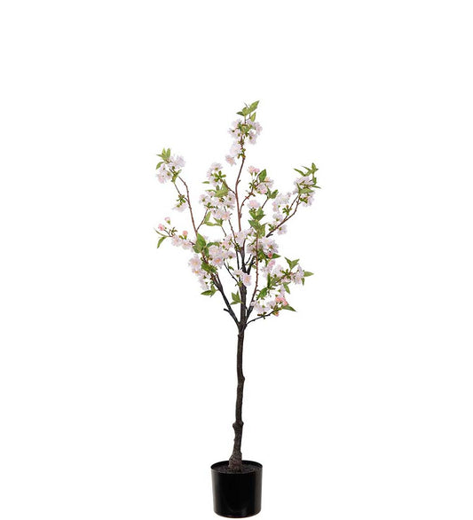 Kirsebærblomst tre rosa 120 cm