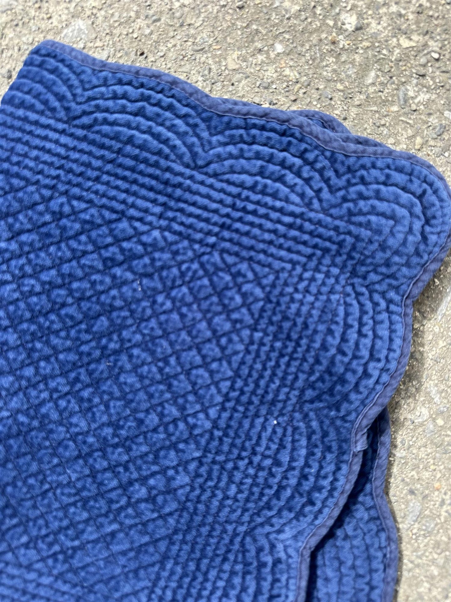 Spisebrikke velour Navy