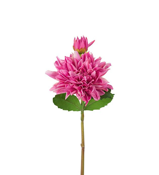 Dahlia purple pink 70 cm