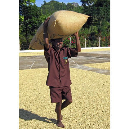 Malabar Monsooned kaffe Filtermalt 250 gram