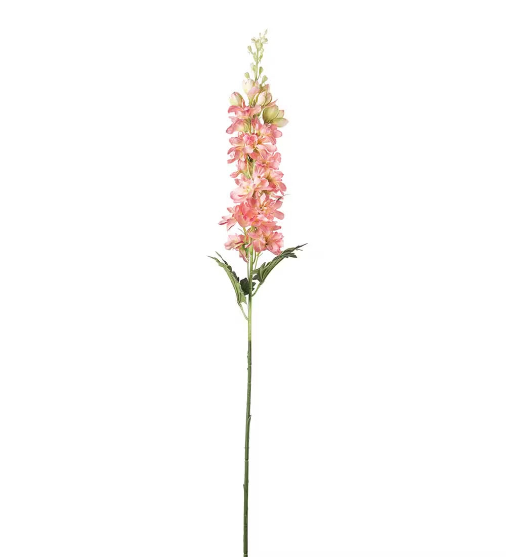 Delphinium rosa 75 cm