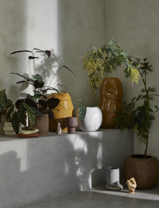 Vase Organic