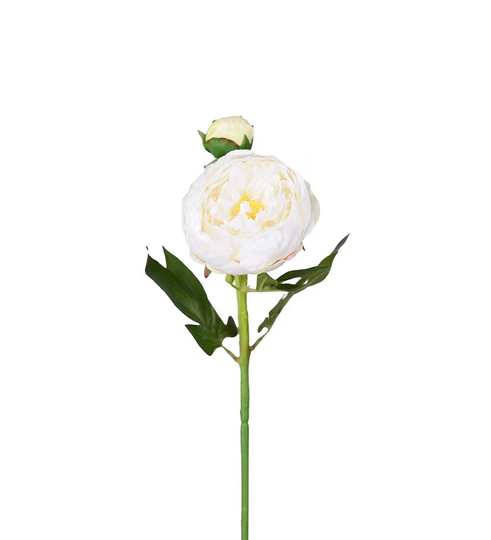 Pion hvit 58 cm