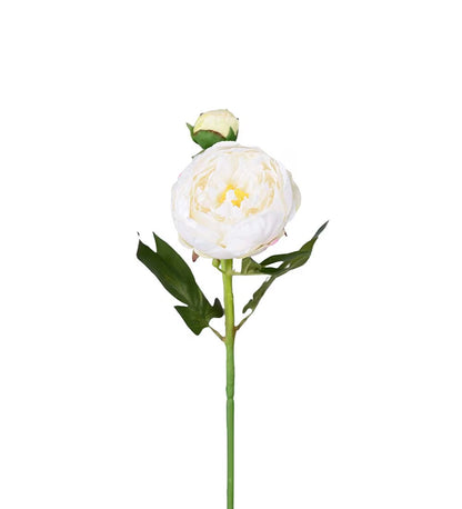 Pion hvit 58 cm