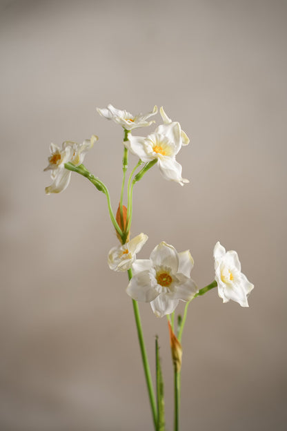 Påskelilje hvit 55 cm